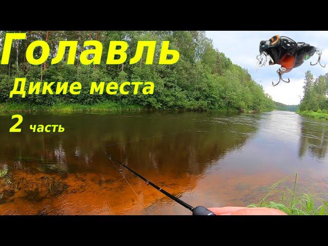 За голавлем в дикие места. 2 часть смотреть онлайн