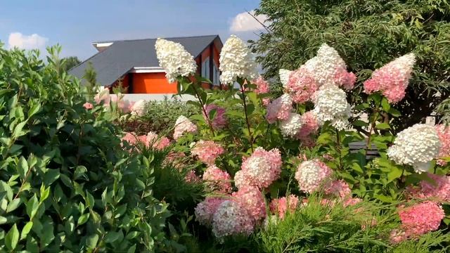Загородный дом в скандинавском стиле | Одноэтажный дом для небольшой семьи | Рум Тур смотреть онлайн