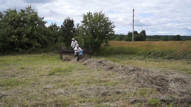 Сенокос смотреть онлайн