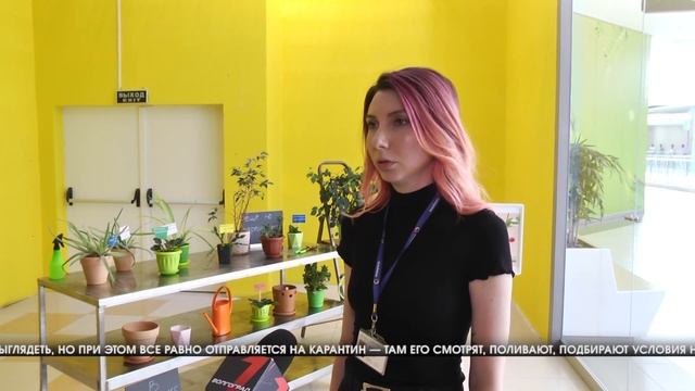 В Волгограде открылся приют для растений смотреть онлайн