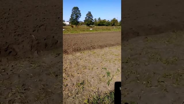 VID 20151008 140129 смотреть онлайн