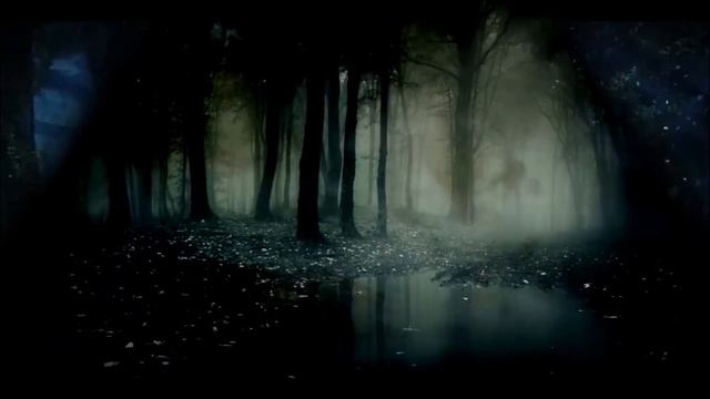 Blackmore's Night ~ 🌒