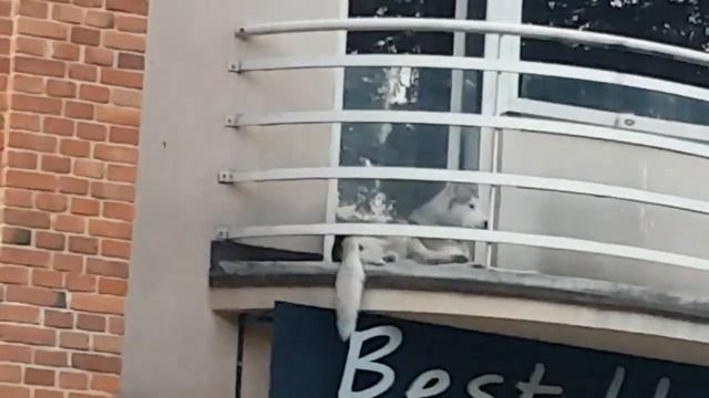 ПОЛЬША! КУРСЫ ПОЛЬСКОГО ЯЗЫКА! ЕДЕМ В РЫБНИК! СУШИ БАР! смотреть онлайн