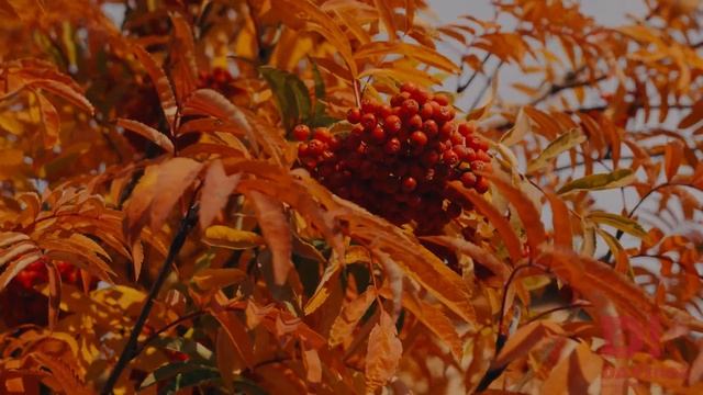 ЖК Да Винчи. Ход строительства, сентябрь 2022 смотреть онлайн