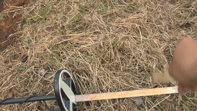 Сигнум 7272 мфт и катушка 6-10,20кгц