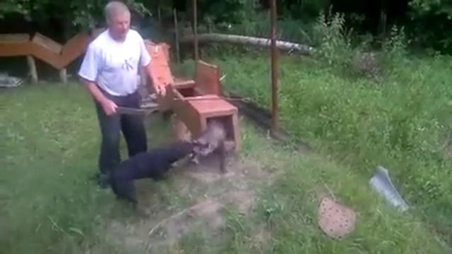 KRAFT vom STAMM DER JAGER смотреть онлайн