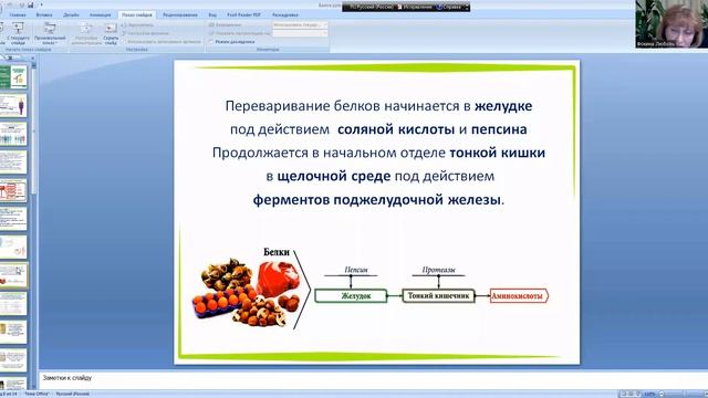 Белковый фундамент здоровья смотреть онлайн