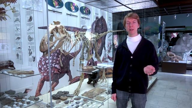 Палеонтология: Как появились динозавры? Ярослав Попов смотреть онлайн