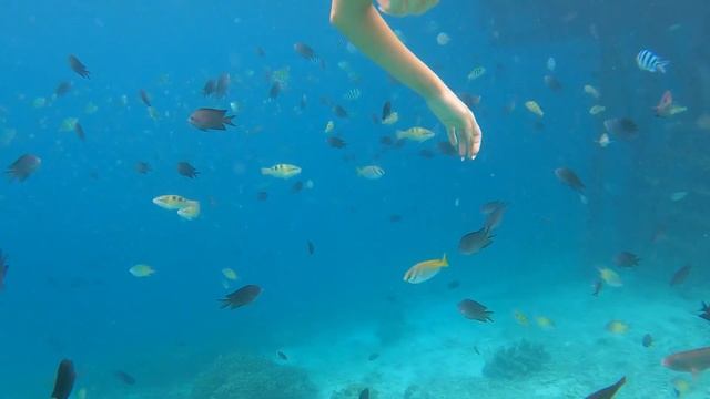 ОГРОМНЫЕ ВАРАНЫ! Безлюдные острова Индонезии 2021 смотреть онлайн