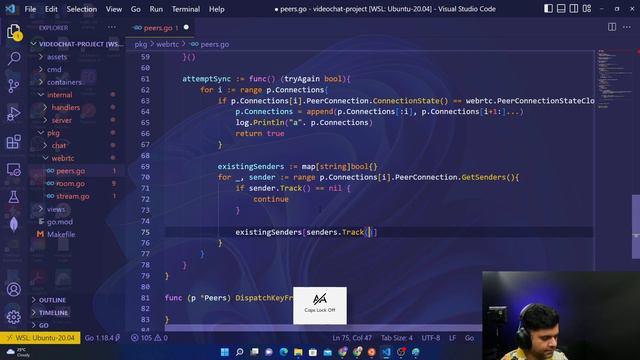 GOLANG Video Conferencing And Live Streaming - [ PART 16 ] - Full Stack Project #pion #webRTC смотреть онлайн