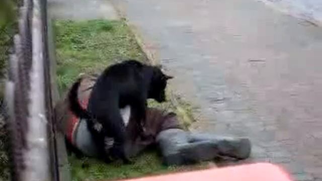 хороший пёсик... смотреть онлайн