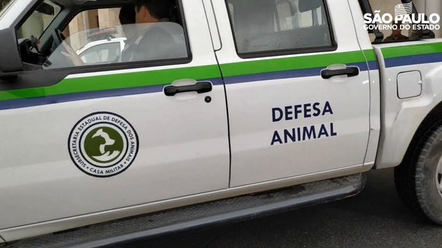 Defesa Animal: Estado realiza a Operação Combate aos Maus-Tratos смотреть онлайн