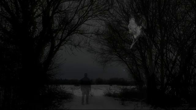 Franz Schubert, Der Leiermann - Johannes Green & Michael Rämisch смотреть онлайн