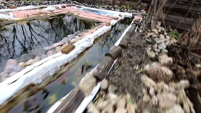 Большая чистка биоплато