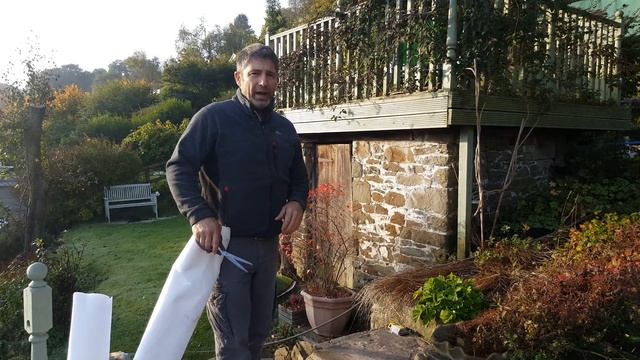 How To Maintain A Clematis Montana смотреть онлайн