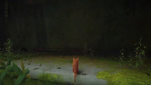 STRAY Gameplay On GTX 1050 l 1080 l ULTRA . Eps 1 смотреть онлайн