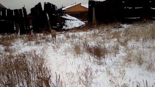 Зима. смотреть онлайн