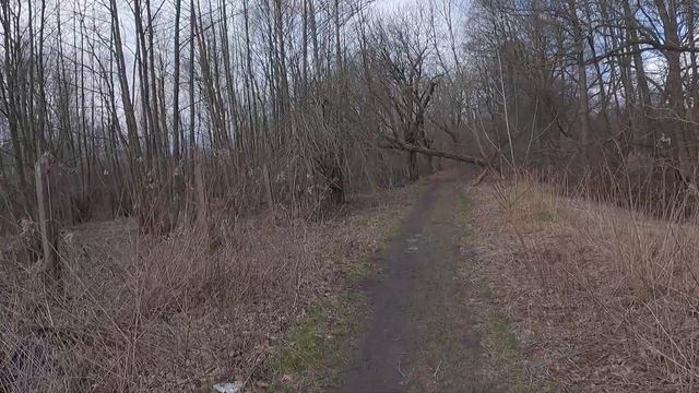 в лесу хорошо смотреть онлайн
