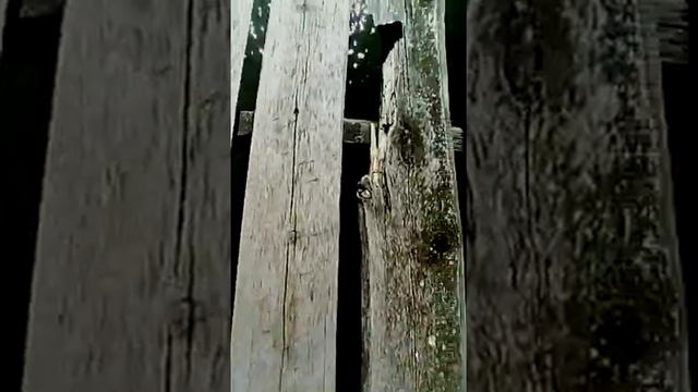 Мост хутор Андреевский. Мелеузовский район смотреть онлайн