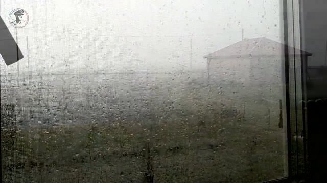 Лёгкий летний бриз в Амурской области