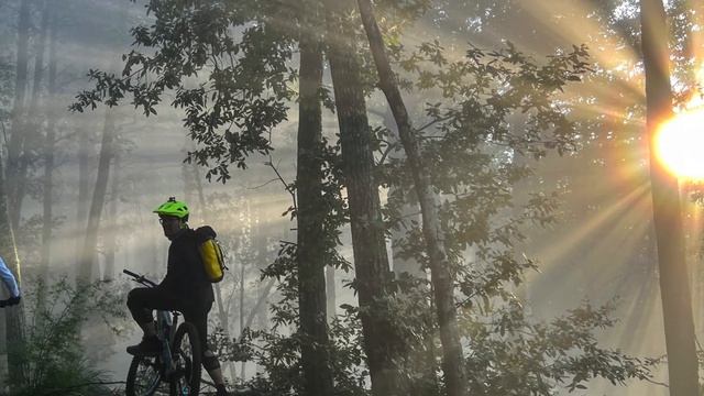 Why we love bikes and ebikes - Sunset ride in the fog at John Nicholas Trail in Northern California смотреть онлайн