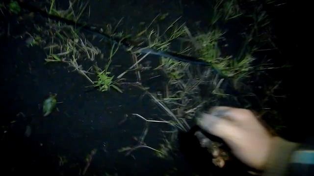 Наживка на сома. Как легко и быстро добыть выползка. смотреть онлайн