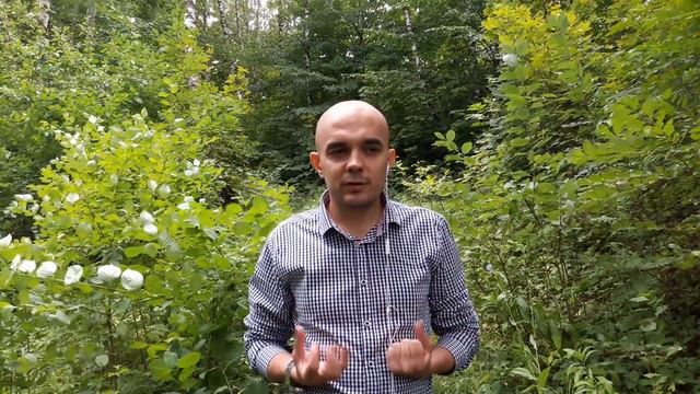 Почему важно сначала предлагать дорогой товар смотреть онлайн