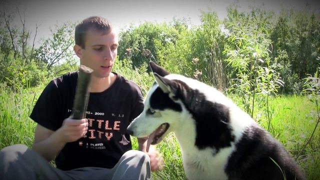 Вперёд, Хаски! (aeZz Production) смотреть онлайн