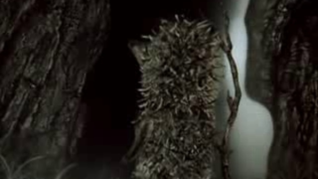 Ежик в тумане смотреть онлайн