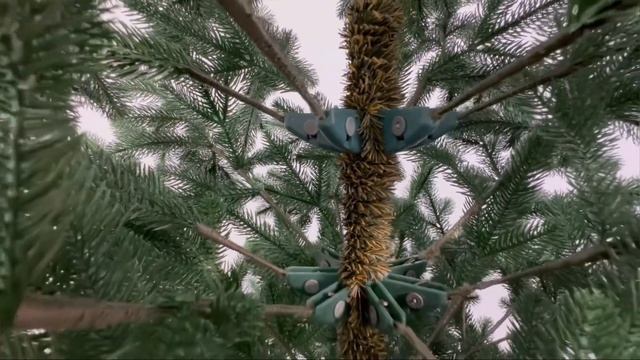 Видеообзор на полностью литую ель Норвежскую смотреть онлайн