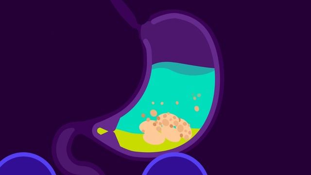 How our Digestive System Works? смотреть онлайн