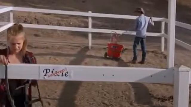 Сердце чемпиона