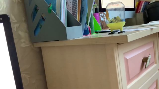 Как транслировать экран ноутбука Windows на Компьютер Mac OS смотреть онлайн