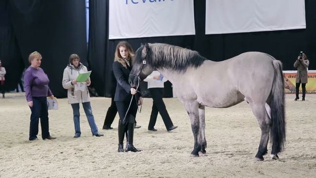 КСК "ЛАИР" на Международной выставке "Эквирос". Фестиваль "Вятка Московии-2016" смотреть онлайн