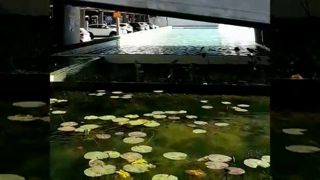 So by situation смотреть онлайн