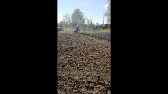 Посадка картошки быстро и просто! смотреть онлайн