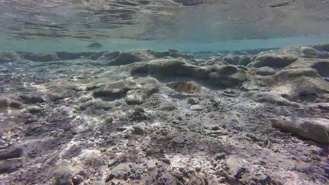 Марса-эль-Алам, Египет, рыбы