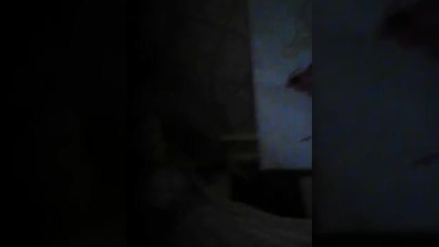 Барби плохо смотреть онлайн