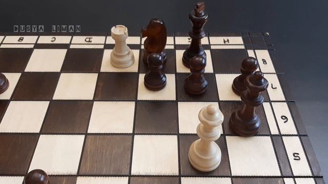 Выпуск 23. Задачи. Комбинации. Шахматы. Chess. Шах и мат смотреть онлайн
