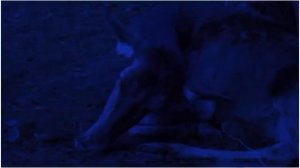 CAMINO HACIA EL TERROR 6  - CAMINO SANGRIENTO 6   PELICULA COMPLETA ESPAÑOL HD