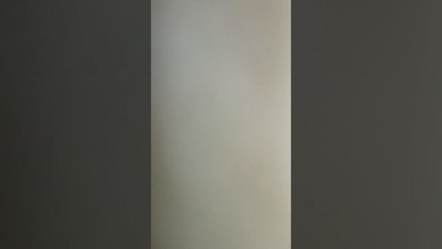 В.Берестов Кошкин щенок и Барис Заходера вредный кот в стиле репа смотреть онлайн