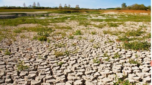 Печа-куча. Спасет ли веганство планету? смотреть онлайн