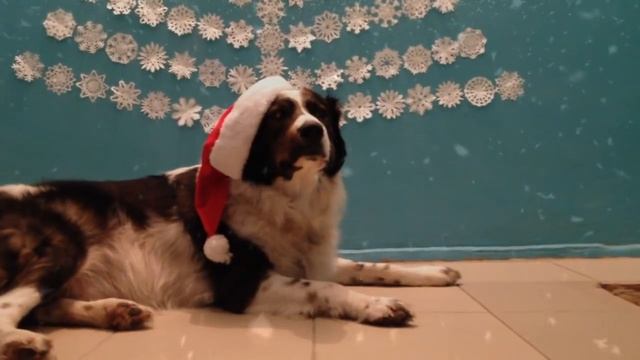 Новый 2018 год пришел и к нам в подъезд смотреть онлайн