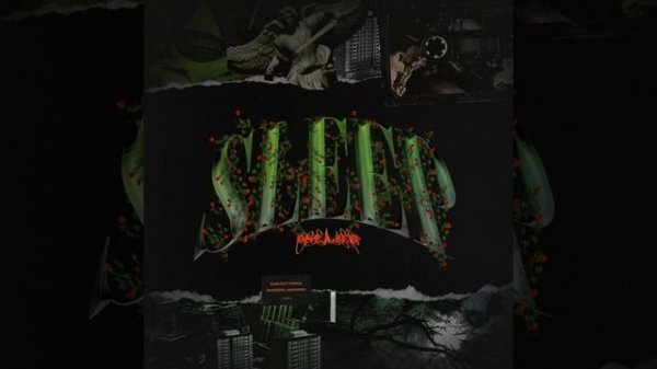 SLEEP