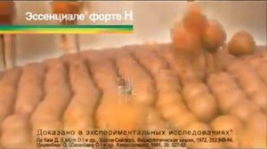 Реклама Эссенциале Форте Н: Эссенциале для отдыха на свежем воздухе