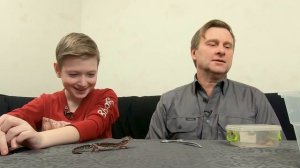 Домашнее животное эублефар. Нескучная жизнь.