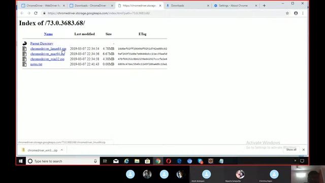 Core Java + Selenium Basics 8 смотреть онлайн