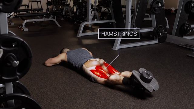 The Best Science-Based Full Body Workout For Growth (WORKOUT “A”)