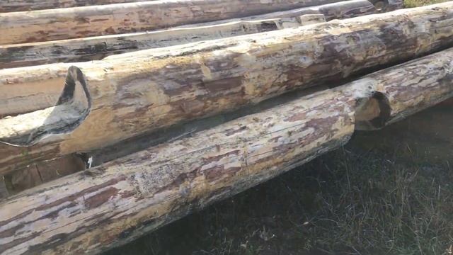 Подготовка сруба к перевозке и монтажу в г.Пенза смотреть онлайн