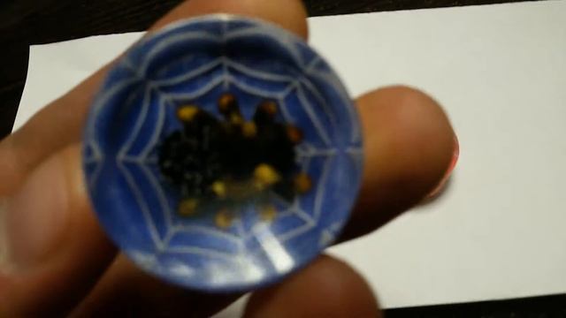 Фишки для нард из оргстекла "Пауки" смотреть онлайн